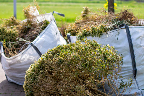 Best Construction Debris Removal  in Larimore, ND