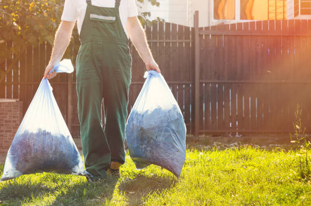 Best Electronics Removal Services  in Larimore, ND